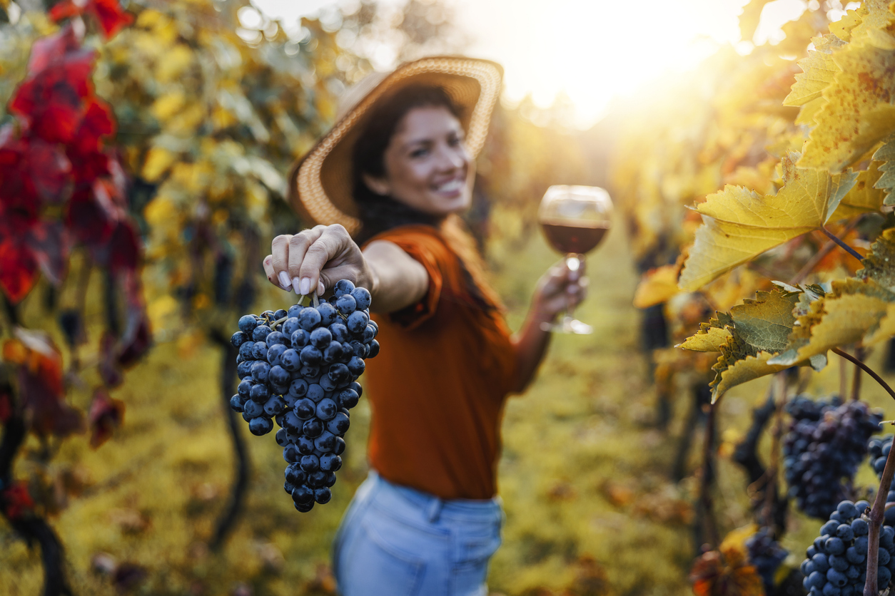 Enoturismo e Green: alla ricerca di esperienze autentiche e sostenibili.